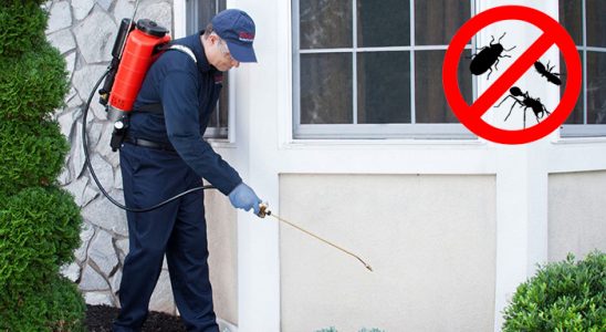 Gültepe Gümüşkurt İlaçlama böcek ilaçlama ve haşere kontrolü — ilaclama-tr.com